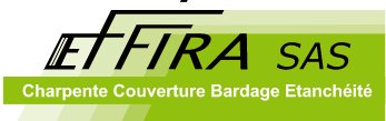 nouveau logo effira